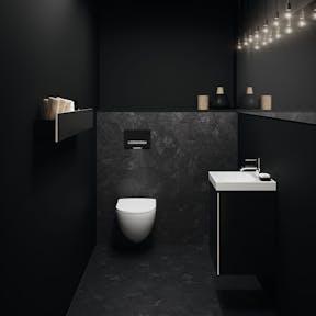 Geberit Acanto and Sigma50